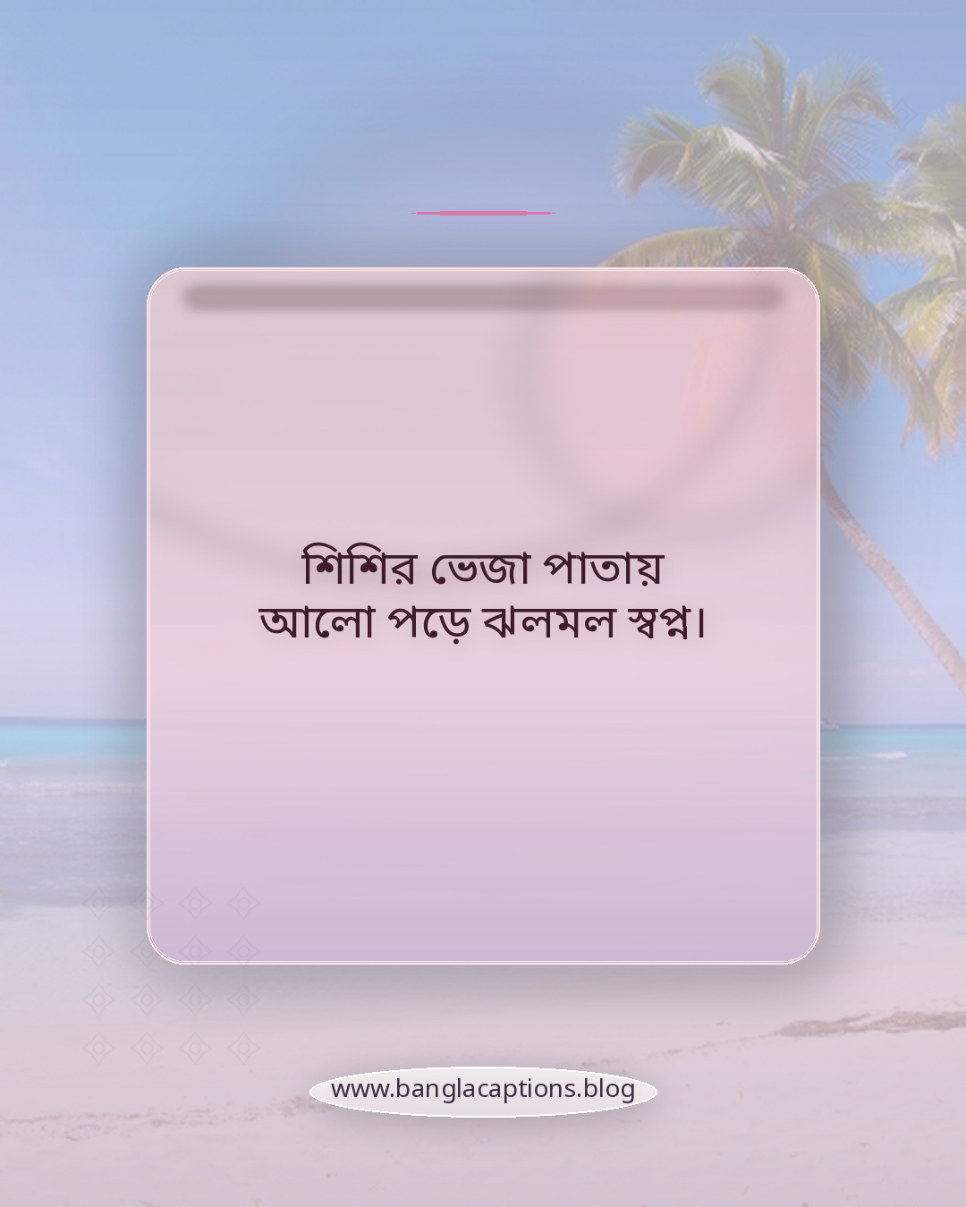 শিশির ভেজা পাতায় আলো পড়ে ঝলমল স্বপ্ন। - কবিতার ঢঙে শীতের ছন্দ