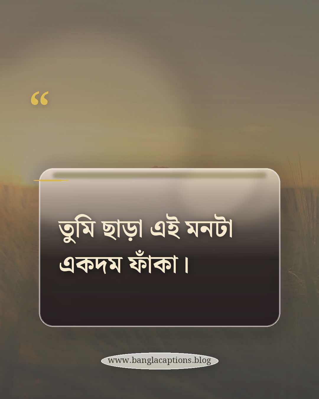 তুমি ছাড়া এই মনটা একদম ফাঁকা। - রোমান্টিক হোয়াটসঅ্যাপ স্ট্যাটাস ক্যাপশন