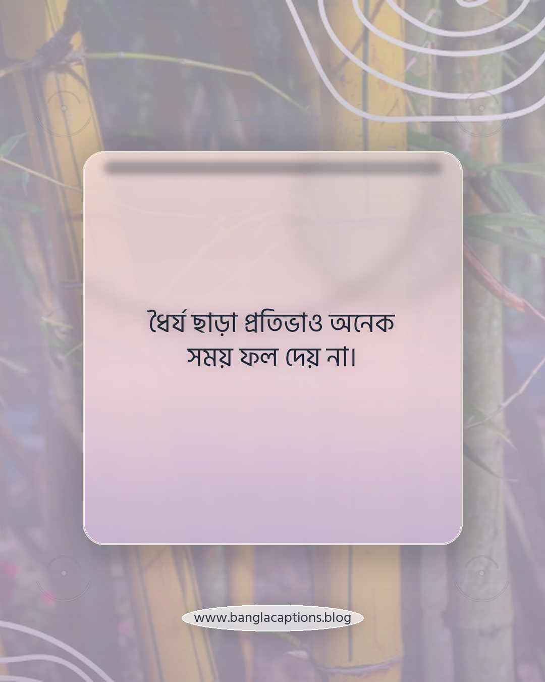 ধৈর্য ছাড়া প্রতিভাও অনেক সময় ফল দেয় না। - আত্মবিশ্বাস ও ধৈর্য: বাস্তব জীবনের দুই শক্তি