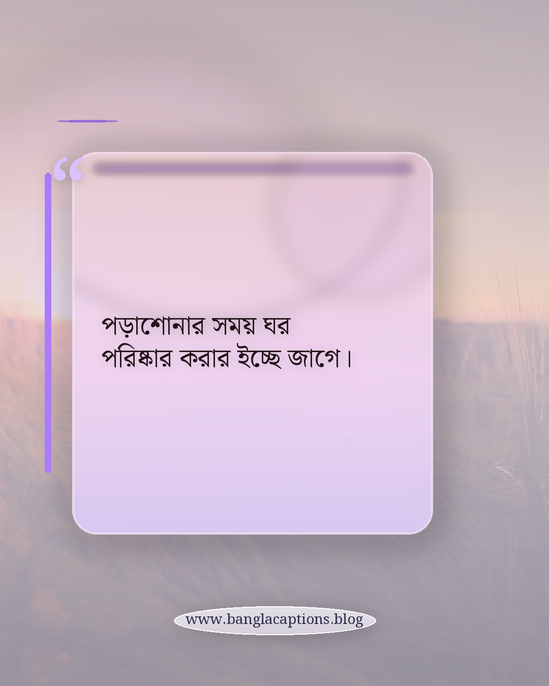 পড়াশোনার সময় ঘর পরিষ্কার করার ইচ্ছে জাগে। - সেরা মজার উক্তি