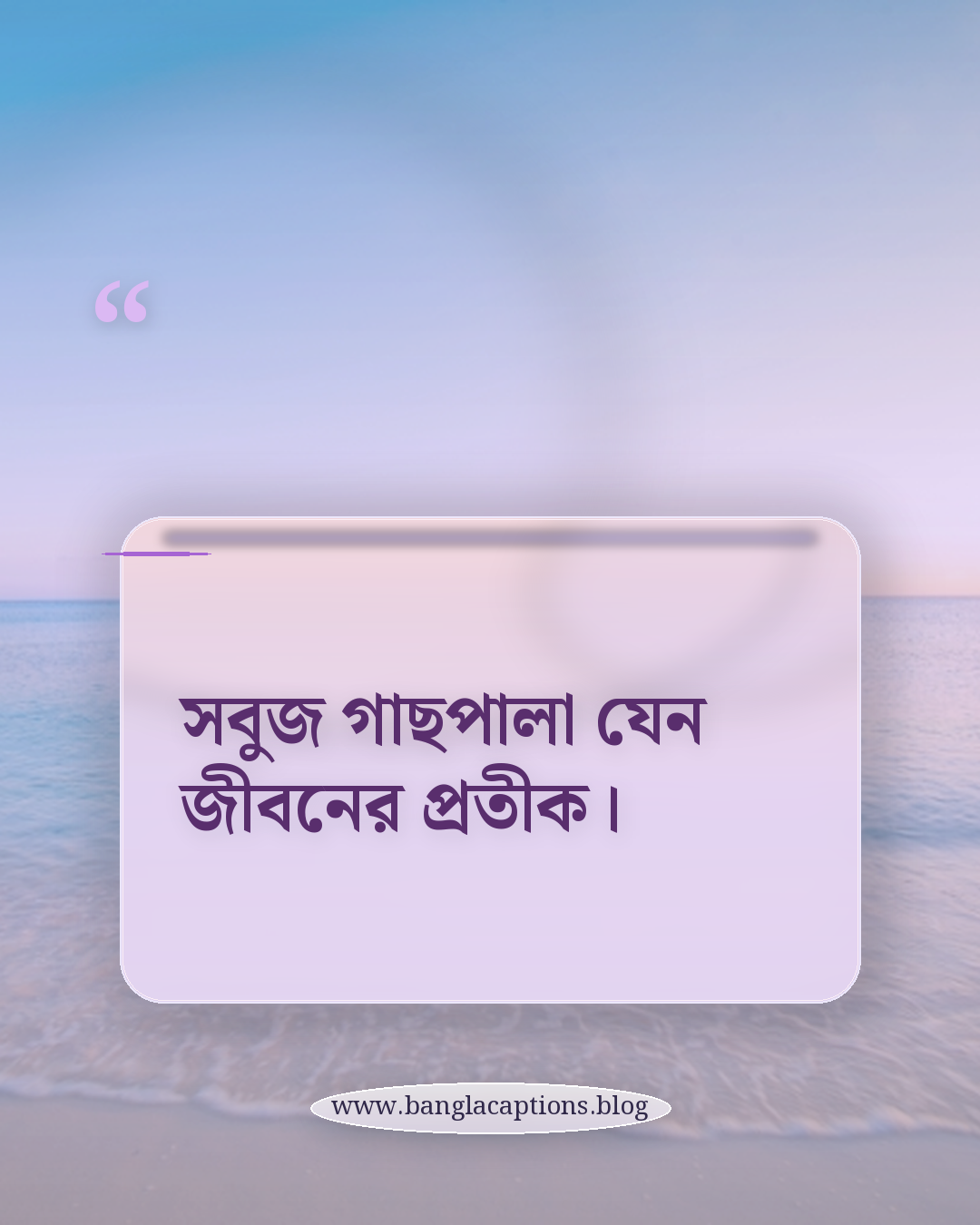 সবুজ গাছপালা যেন জীবনের প্রতীক। - সুন্দর প্রকৃতি নিয়ে স্ট্যাটাস