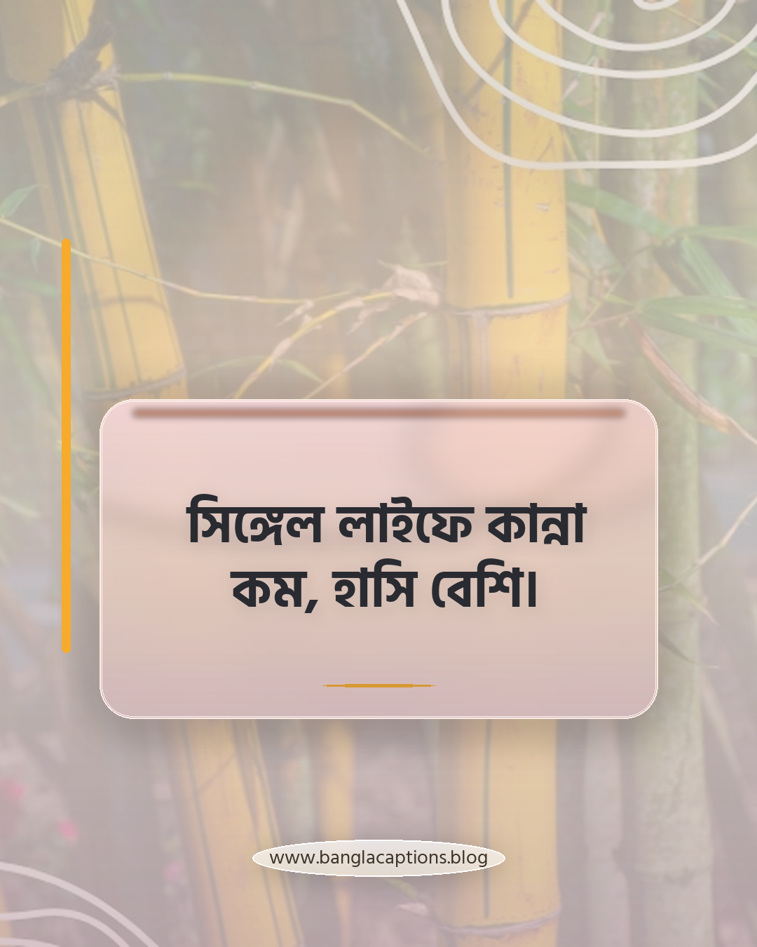সিঙ্গেল লাইফে কান্না কম, হাসি বেশি। - সিঙ্গেল লাইফ নিয়ে মজার স্ট্যাটাস