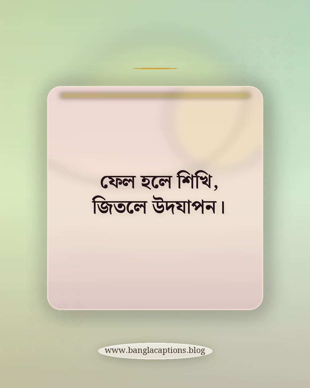 ফেল হলে শিখি, জিতলে উদযাপন। - স্টাইলিশ হোয়াটসঅ্যাপ স্ট্যাটাস ক্যাপশন