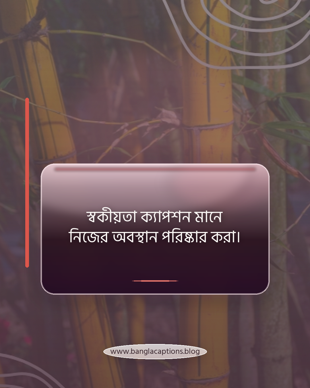 স্বকীয়তা ক্যাপশন মানে নিজের অবস্থান পরিষ্কার করা। - স্বকীয়তা ক্যাপশন কী এবং কেন গুরুত্বপূর্ণ